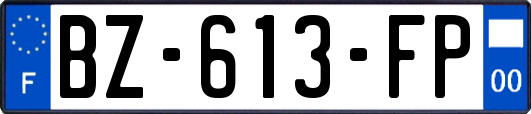 BZ-613-FP