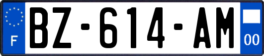 BZ-614-AM