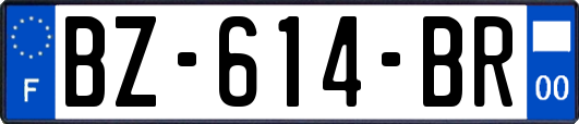 BZ-614-BR