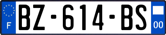 BZ-614-BS