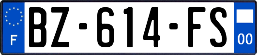 BZ-614-FS