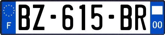 BZ-615-BR