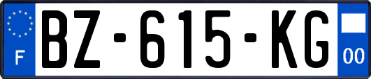 BZ-615-KG