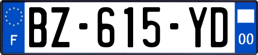 BZ-615-YD