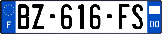 BZ-616-FS