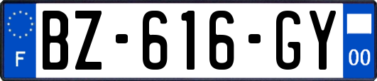 BZ-616-GY