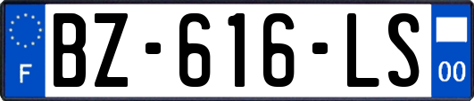 BZ-616-LS