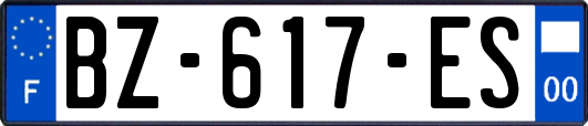 BZ-617-ES