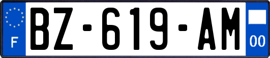 BZ-619-AM