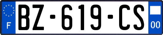 BZ-619-CS