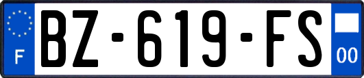 BZ-619-FS