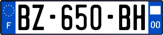 BZ-650-BH