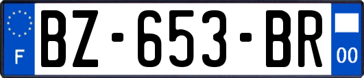 BZ-653-BR