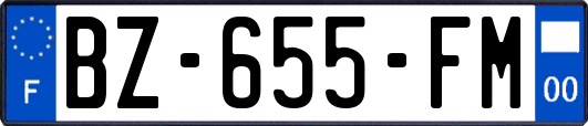 BZ-655-FM