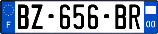 BZ-656-BR