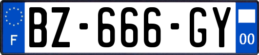 BZ-666-GY