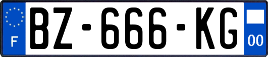 BZ-666-KG