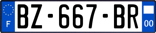 BZ-667-BR