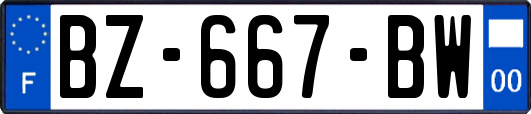 BZ-667-BW