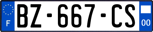 BZ-667-CS