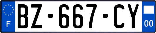 BZ-667-CY