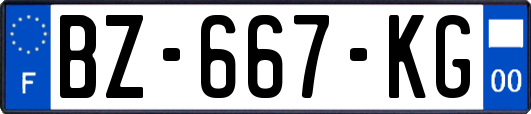 BZ-667-KG