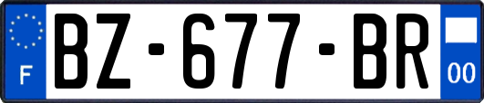 BZ-677-BR