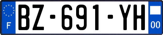 BZ-691-YH