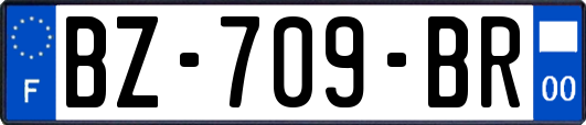 BZ-709-BR