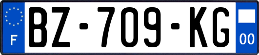 BZ-709-KG