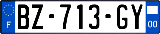 BZ-713-GY