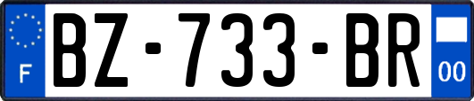 BZ-733-BR