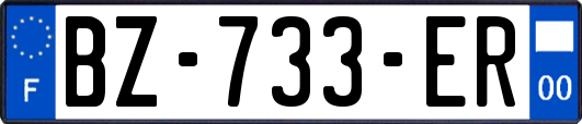 BZ-733-ER