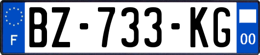 BZ-733-KG