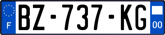 BZ-737-KG