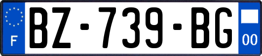 BZ-739-BG