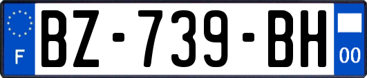 BZ-739-BH