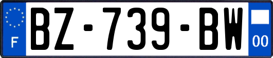 BZ-739-BW