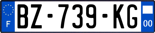 BZ-739-KG