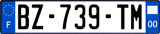 BZ-739-TM