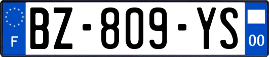 BZ-809-YS