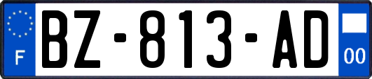 BZ-813-AD