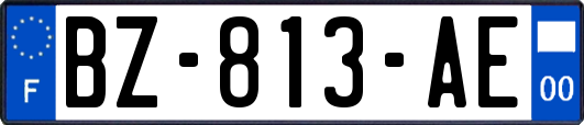 BZ-813-AE