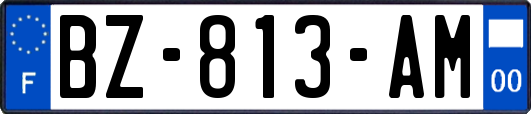 BZ-813-AM