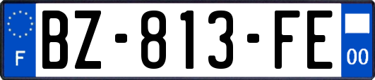 BZ-813-FE