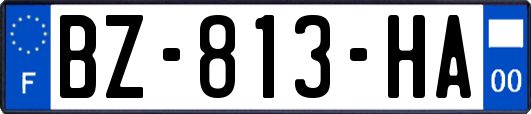 BZ-813-HA