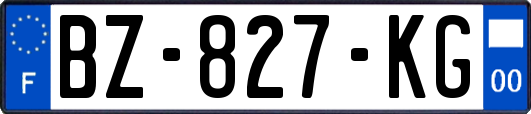 BZ-827-KG