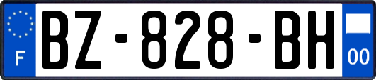 BZ-828-BH