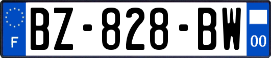 BZ-828-BW