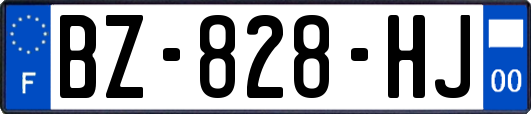 BZ-828-HJ